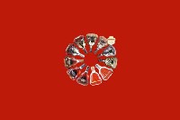 枣庄薛城回收红酒